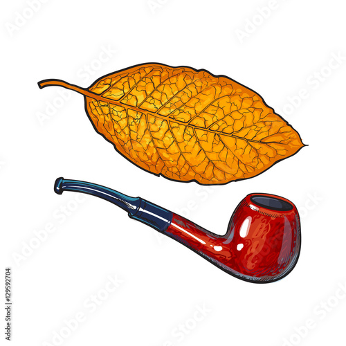 Luxurious wooden varnished smoking pipe and dry tobacco leaf, sketch vector illustration isolated on white background. Realistic hand-drawing of retro wooden smoking pipe and tobacco leaf