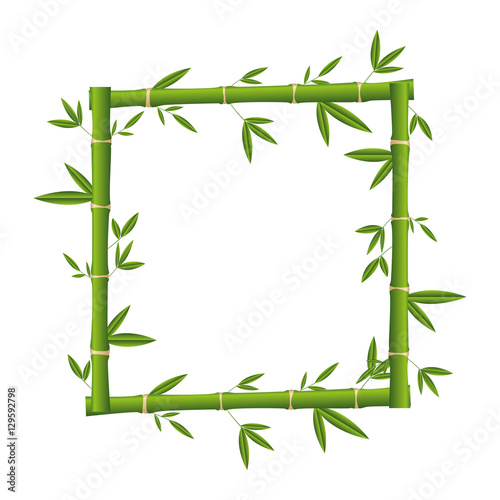 Fototapeta Naklejka Na Ścianę i Meble -  bamboo plant isolated icon vector illustration design