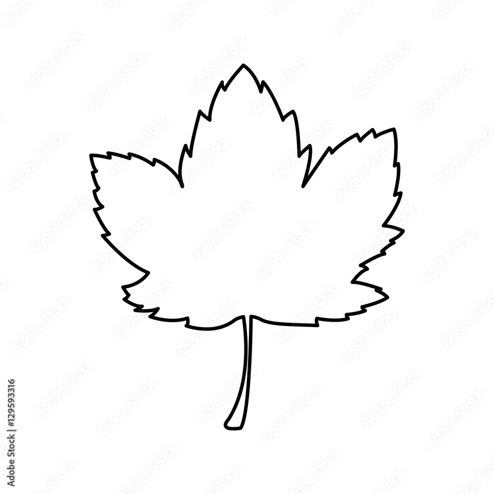 leaf plant silhouette icon vector illustration design