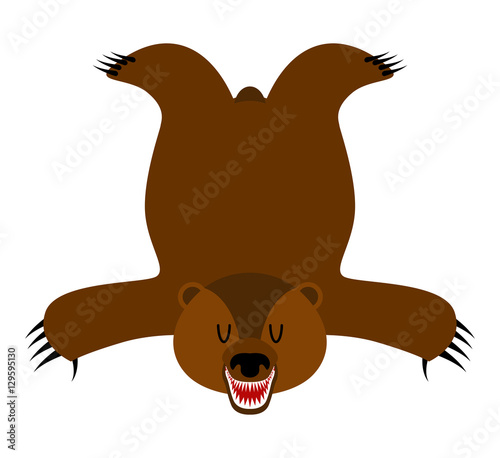 Grizzly Bearskin. Skin of bear isolated. Hunter trophy isolated.