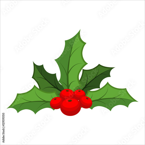 Mistletoe isolated. Traditional Christmas plant. Holiday red ber