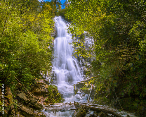 Mingo Falls Smoky Mountains NP