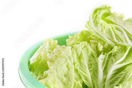 Lettuce / View of fresh green lettuce in the basket.