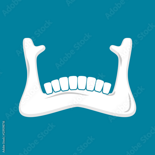 Mandible human isolated. Lower jaw. Anatomy of bone. Part of sku