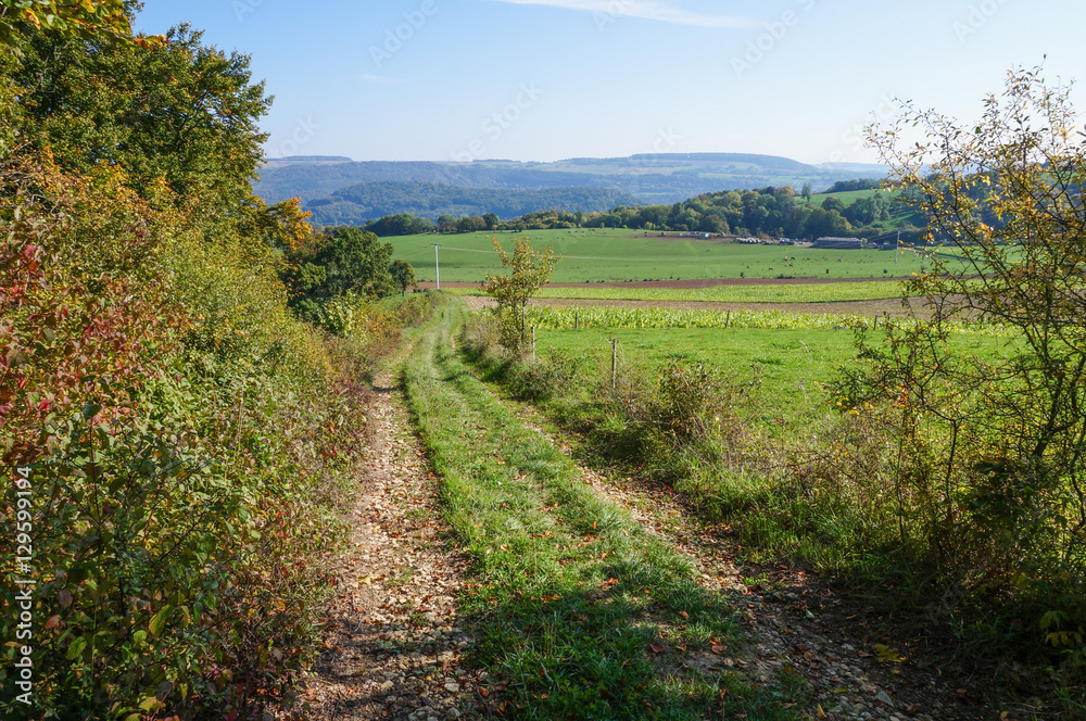 Rural Trail in Luxembourg