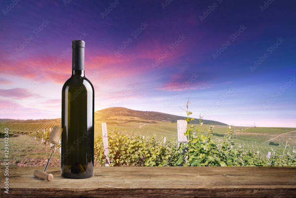 Fototapeta premium Red wine with barrel on vineyard in green Tuscany, Italy