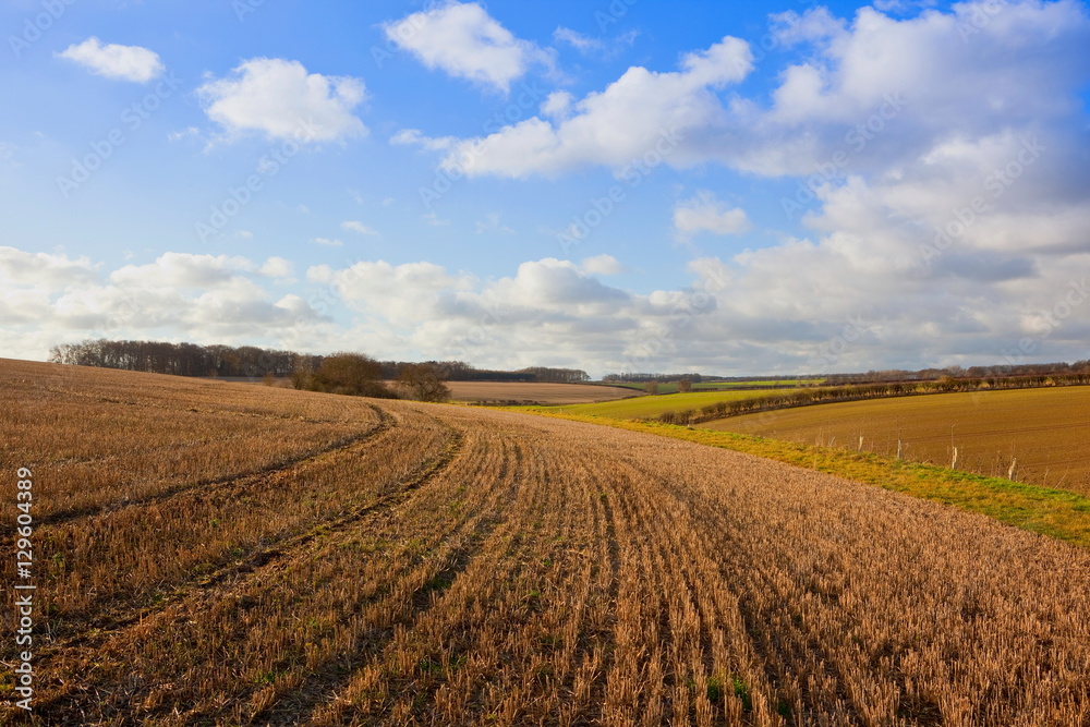 Autumn stubble fields