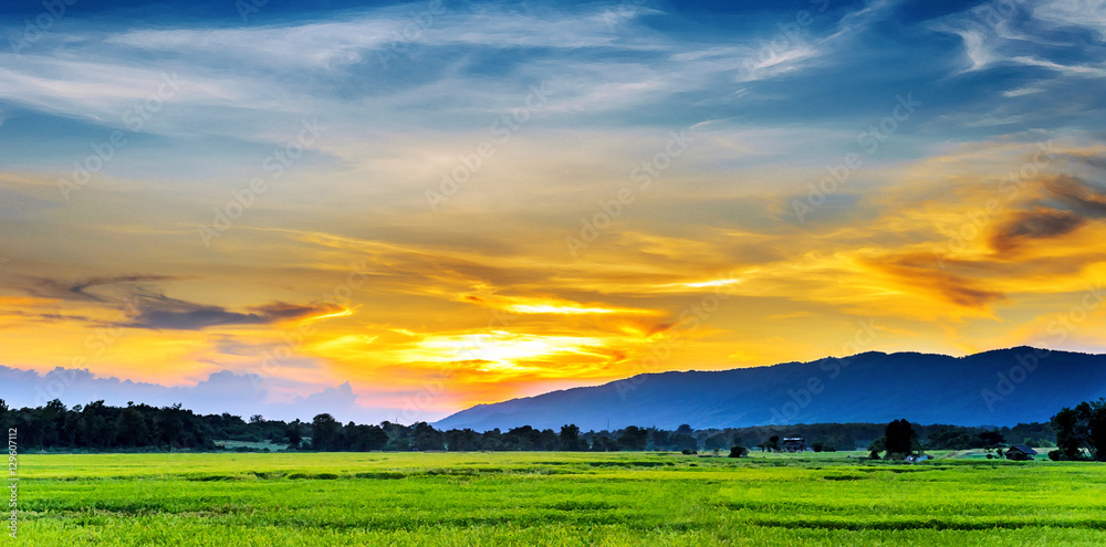 landscape of rice field with Mountains background in sunset