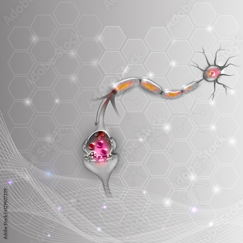 Neuron, nerve cell that is the main part of the nervous system, it passes signal to another neuron. 