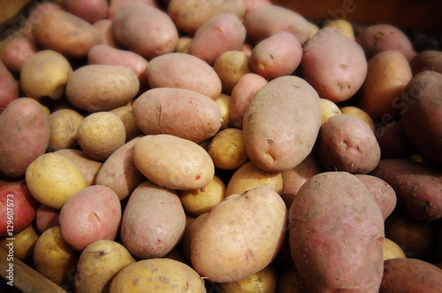 Fresh raw potatoes as background