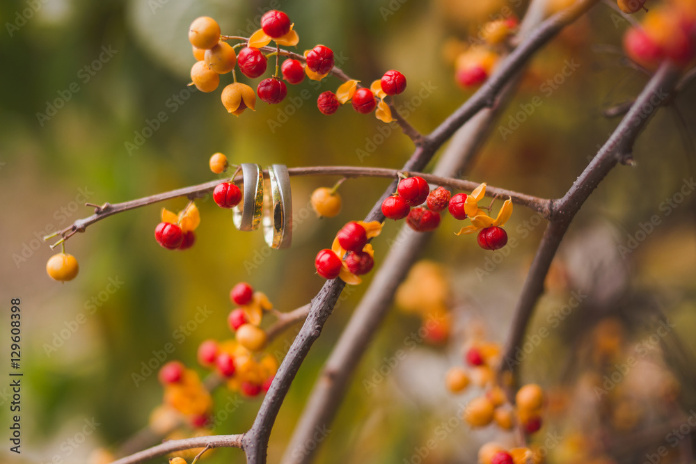 wedding rings on a branch with wild berries on colorful natural background wedding rings on a branch with wild berries on colorful natural background