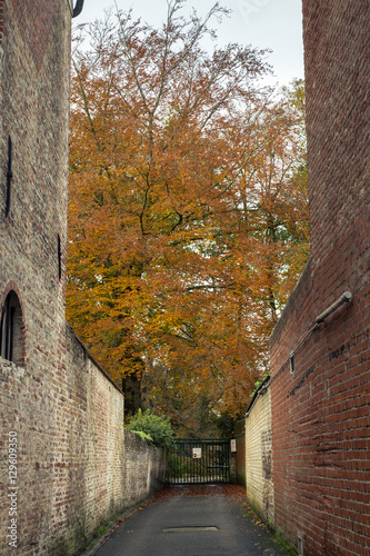 Autumn street in Bruges  Belgium