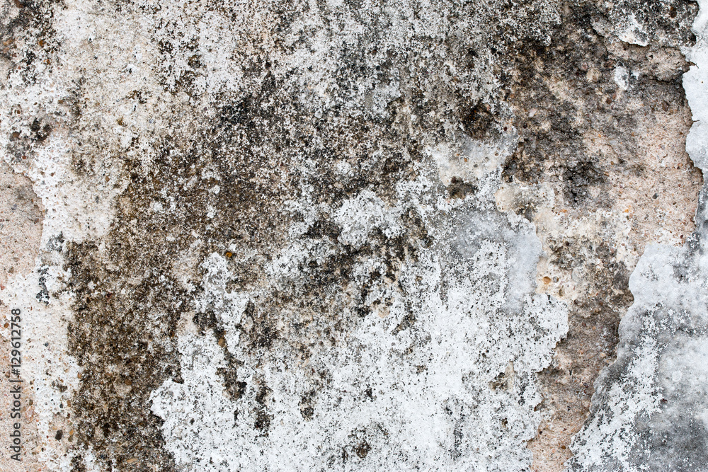 white concrete wall texture white concrete wall texture