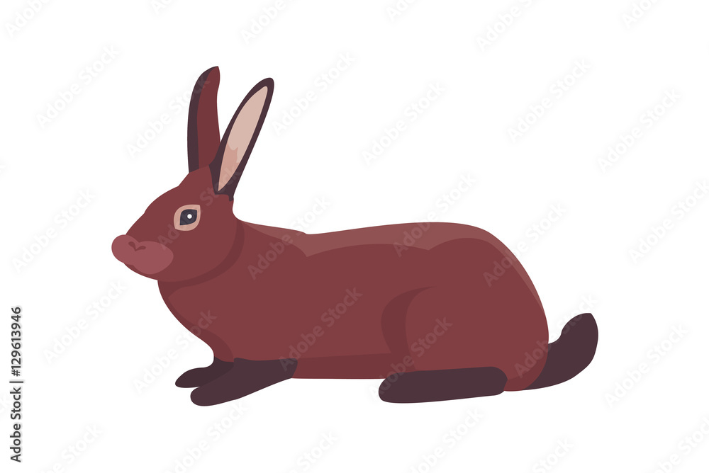 cartoon rabbit vector isolated cartoon rabbit vector isolated