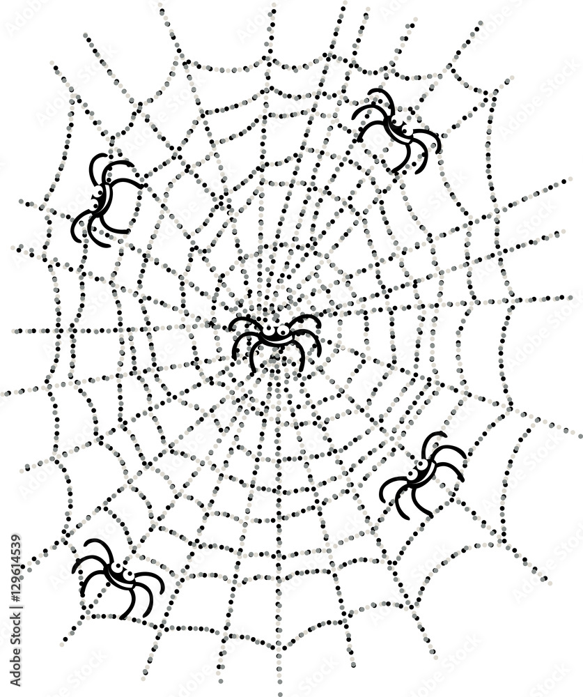 Obraz premium Spiders on the web