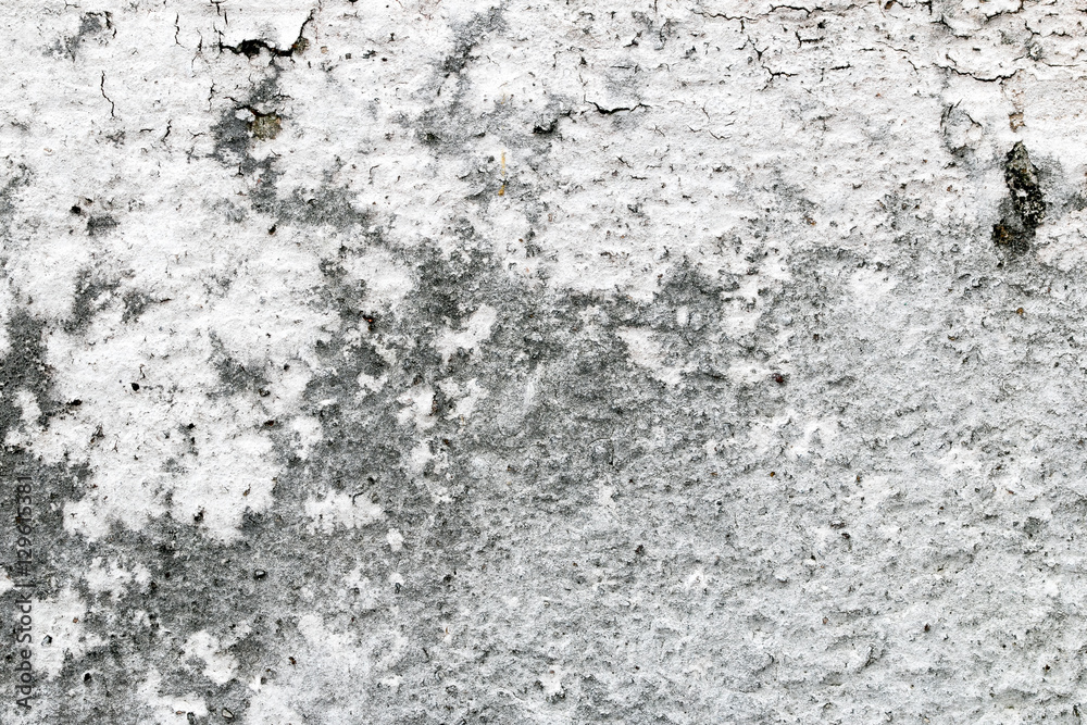 Obraz premium white concrete wall texture