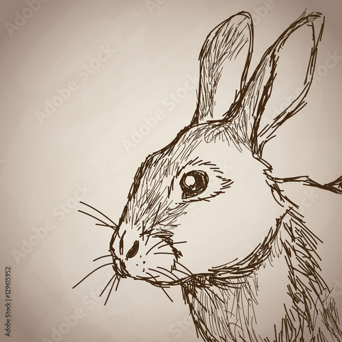 rabbit portrait forest hand drawing vintage vector illustration eps 10