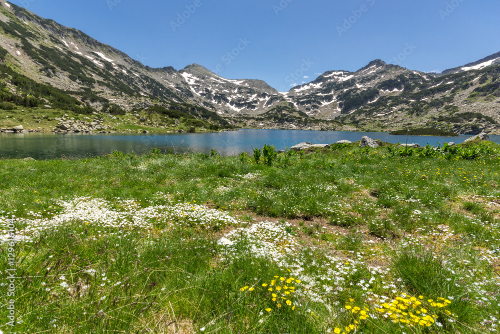 Amazing landscape of Demirkapiyski chukar, Popovo lake and yellow flowers in front, Pirin Mountain, Bulgaria