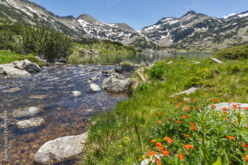 Mountain River, Demirkapiyski chukar and Dzhano peaks, Popovo lake, Pirin Mountain, Bulgaria photo