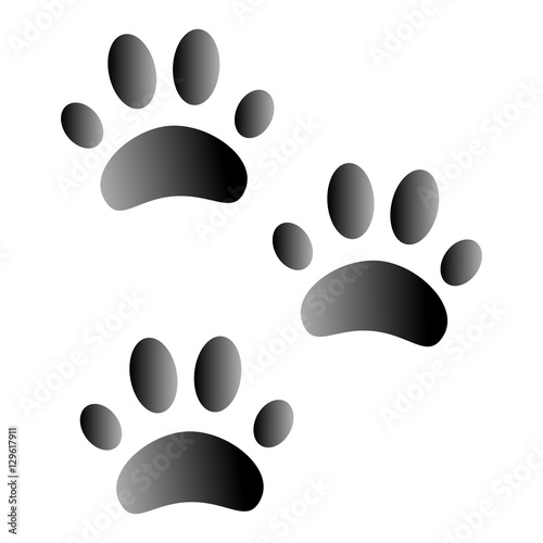 Animal footprints on white background seen from above