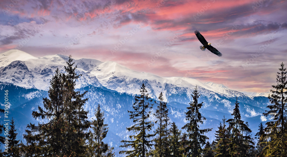 Fototapeta premium Zimowy widok na góry w Zakopanem, Wysokie Tatry, Polska