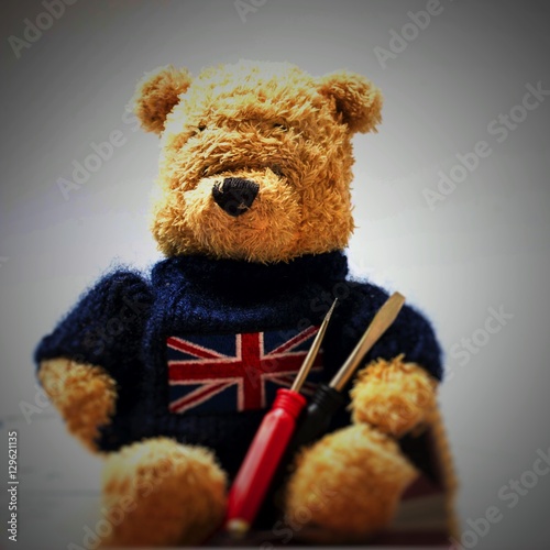 Bear in Union Jack sweater , idea for London theme.