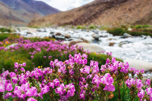 Natural landscape in Leh Ladakh