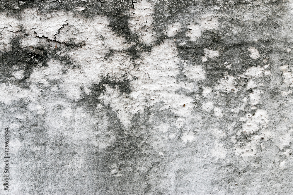 Obraz premium white concrete wall texture