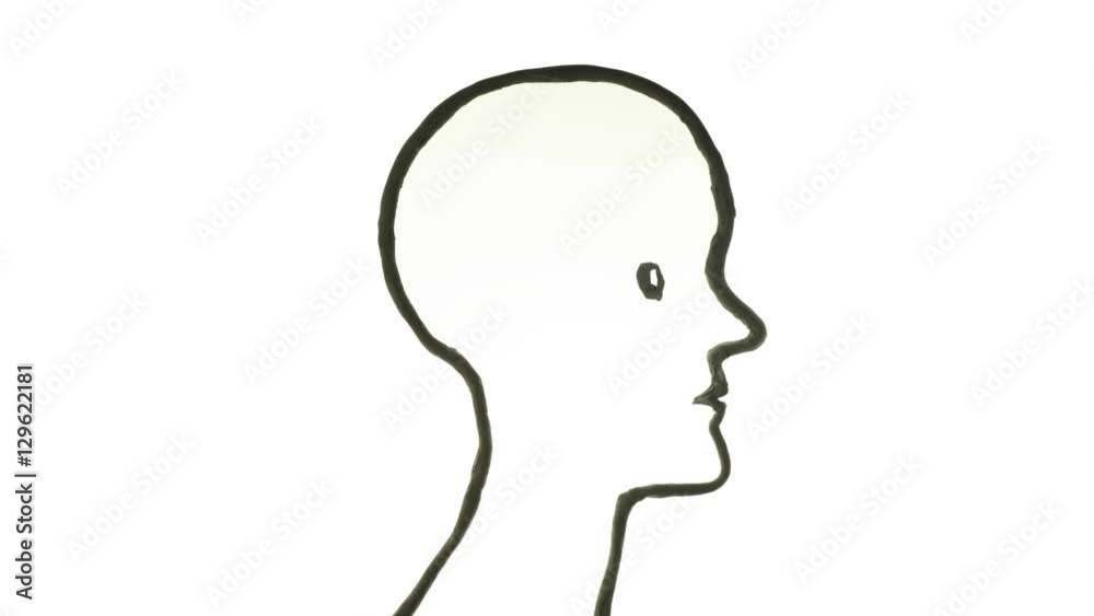 Creative brain idea concept Isolated on White Background Creative brain idea concept Isolated on White Background