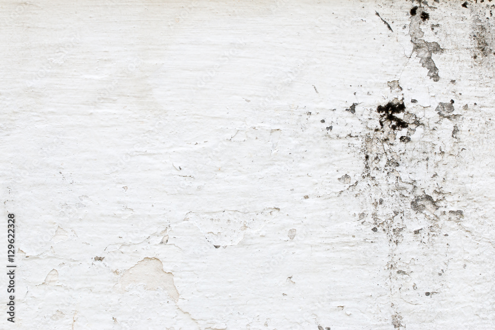 Obraz premium white concrete wall texture