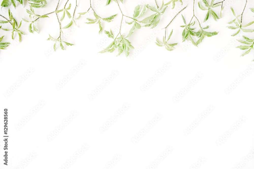 green leaf pattern on white background. flat lay header green leaf pattern on white background. flat lay header