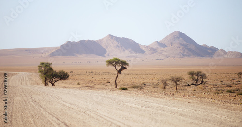 road in Namibia