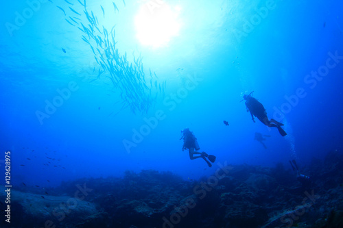 Scuba diving with barracuda fish © Richard Carey