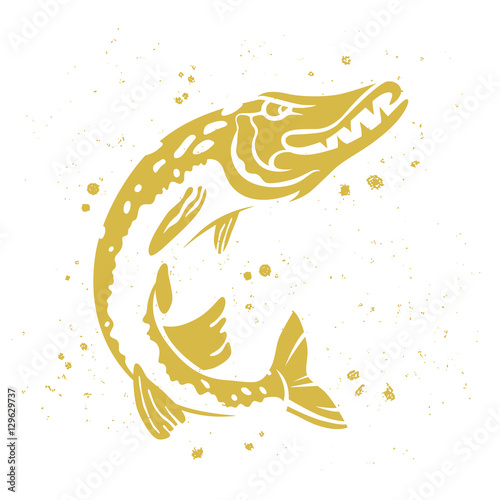 Predatory pike. The stylized image of fish