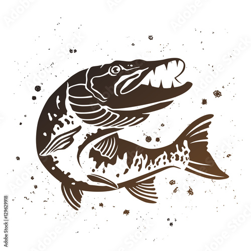 Vector Predatory pike. The stylized image of fish.