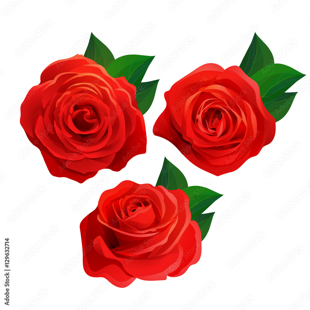Vector red roses with leaves set isolated on white background Stock ...