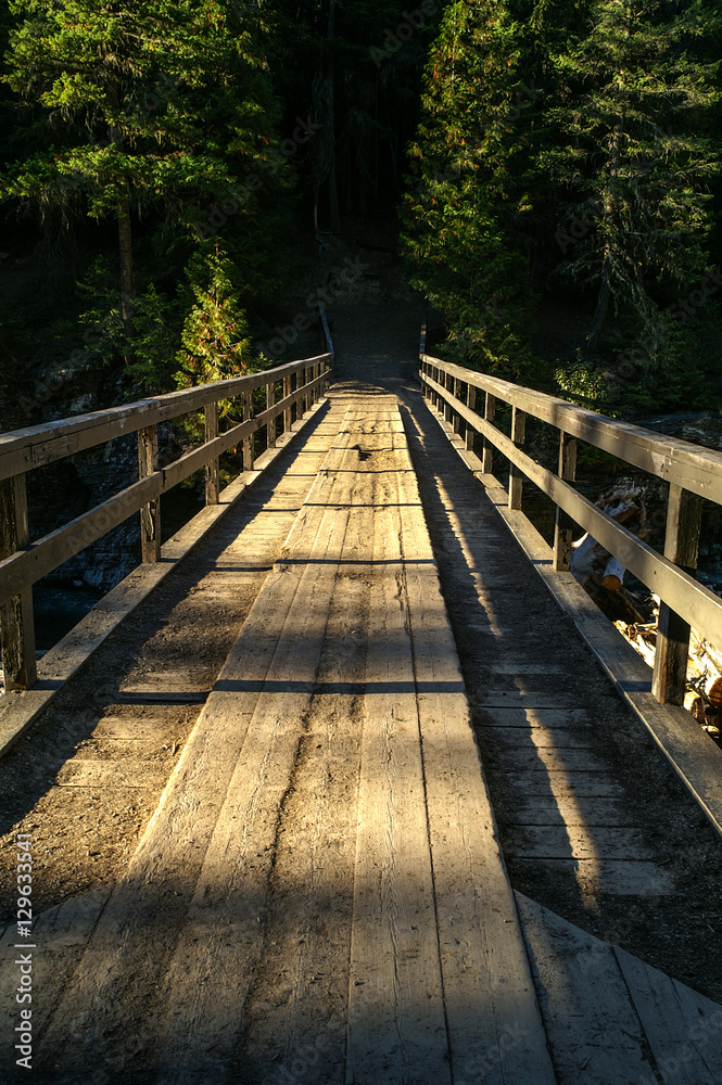 Wooden Bridge in Glacier National Park