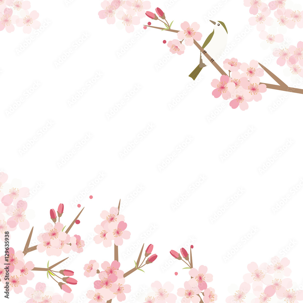 桜と鶯の背景イラスト Stock Vector Adobe Stock
