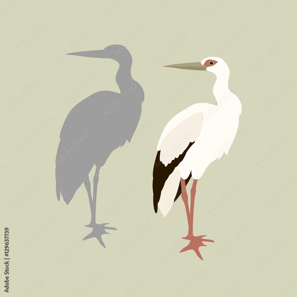Stork vector illustration style Flat set Stork vector illustration style Flat set