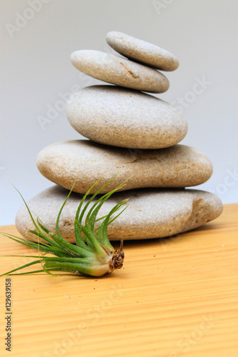 Photography zen stones with aerial plant
