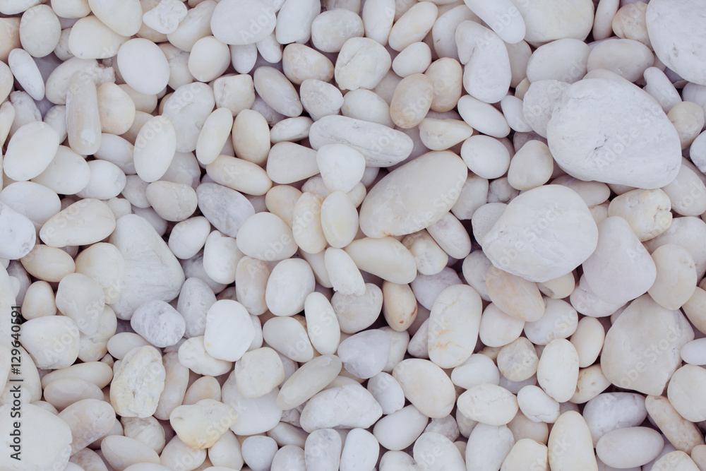 white Pebble beach texture