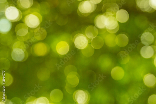 Blur and bokeh vibrant colors background and textured. Christmas