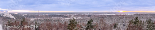Winter panorama of landscape with trees and fields - sunset