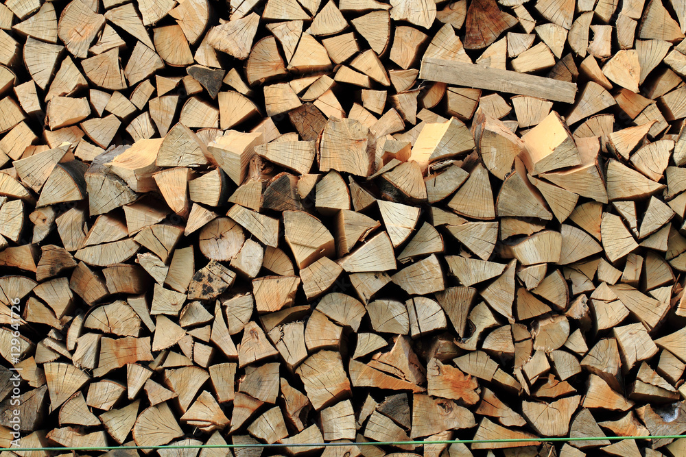 fresh firewood texture fresh firewood texture
