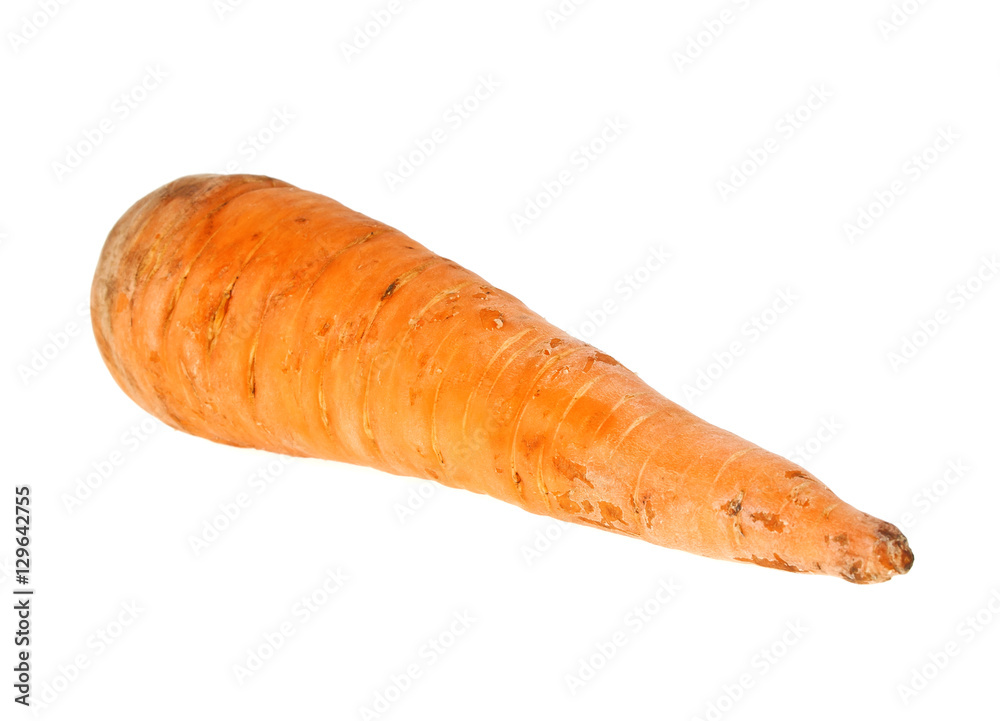 Carrot isolated on a withe background Carrot isolated on a withe background