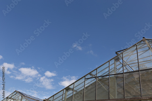roof of glasshouse or greenhouse with clear blue sky in daytime