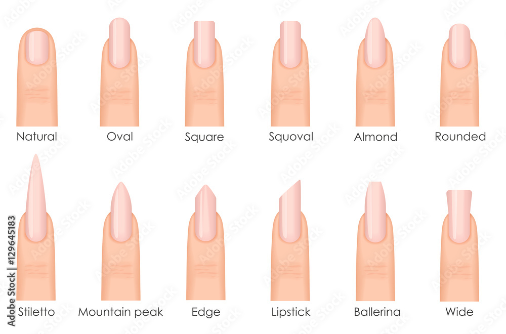 Different fashion nail shapes set kinds of nails Vector Image