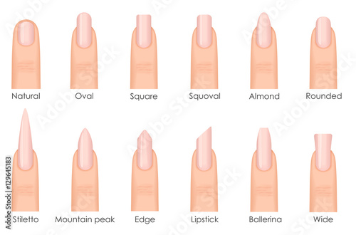 Different fashion nail shapes. Set kinds of nails. Fashion nails type trends. Beauty spa salon woman fingernails set.