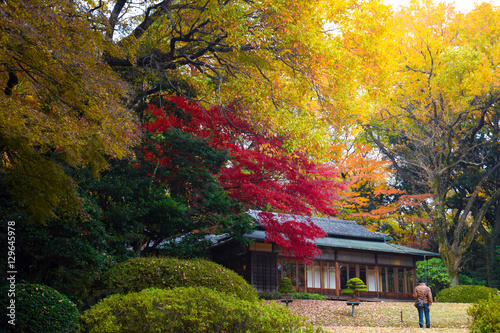 Autumn in Japan photo