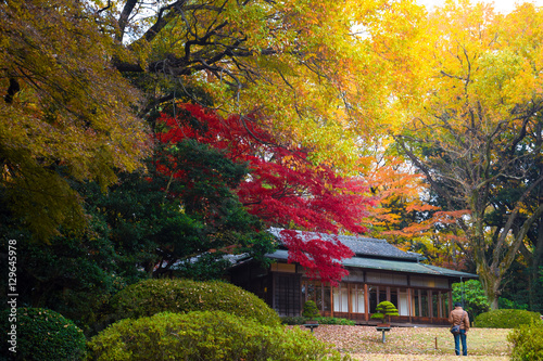 Autumn in Japan